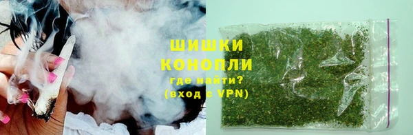 прущие грибы Балахна