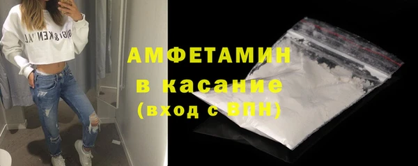 прущие грибы Балахна