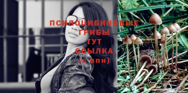 спиды Липки