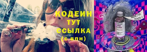 прущие грибы Балахна
