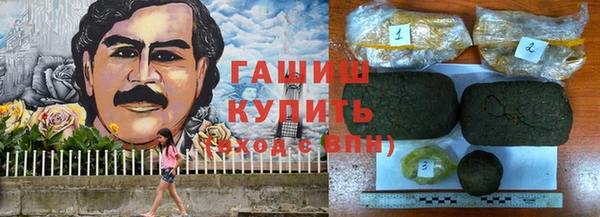 прущие грибы Балахна
