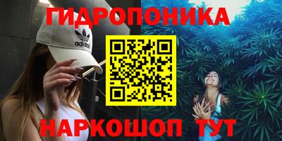 тгк Надым