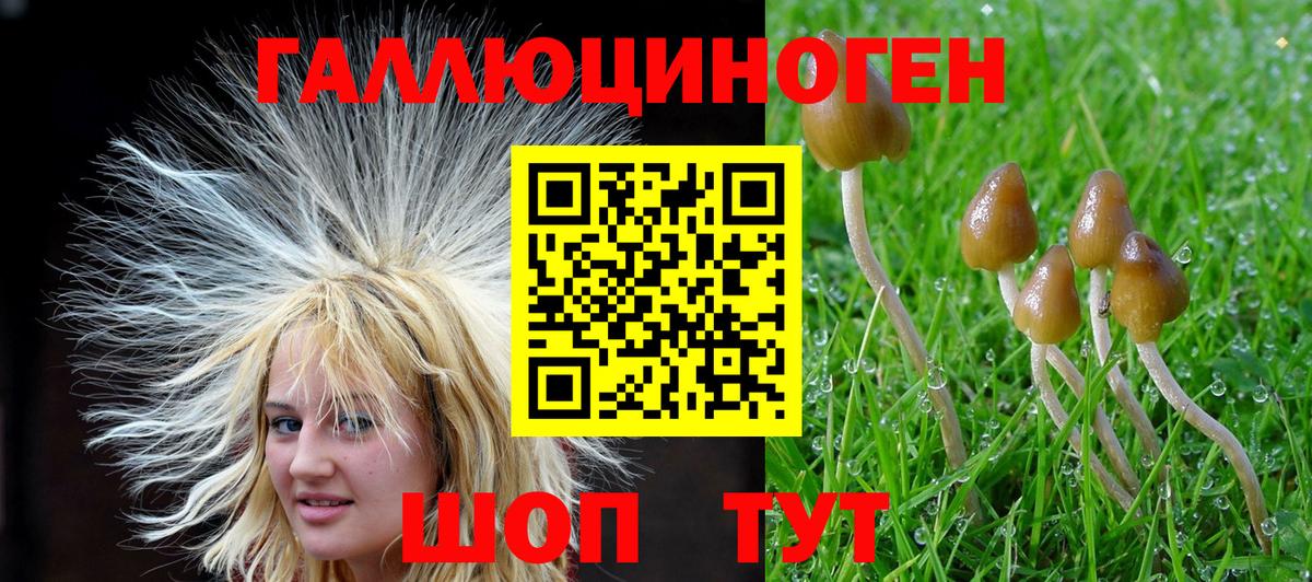 Галлюциногенные грибы GOLDEN TEACHER  Вход с VPN  Псилоцибиновые грибы Psilocybine cubensis  цена   Ульяновск 